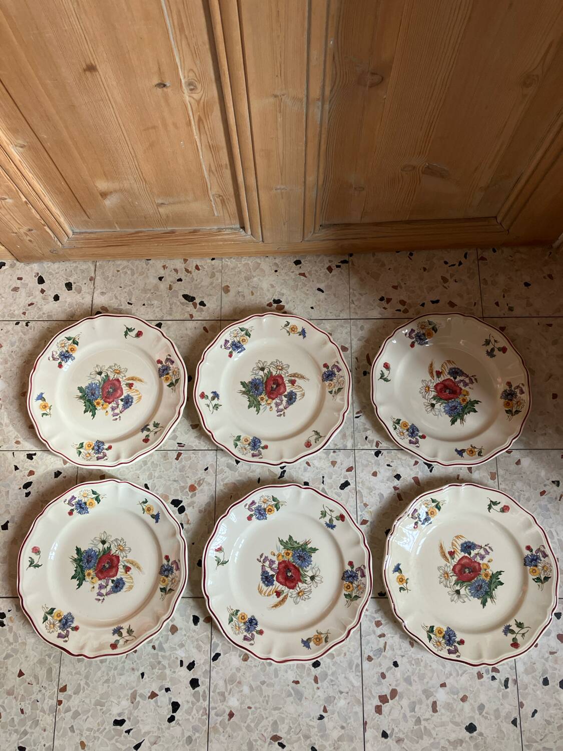 6 Sarreguemines dinner plates