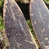 3 pairs of old skis