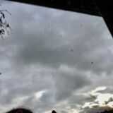 Mirror Louis Philippe 140x95