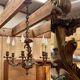 Louis XV style 6-light bronze chandelier from the 1950s