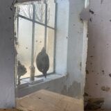 Very stung old bevelled mirror 39x60cm