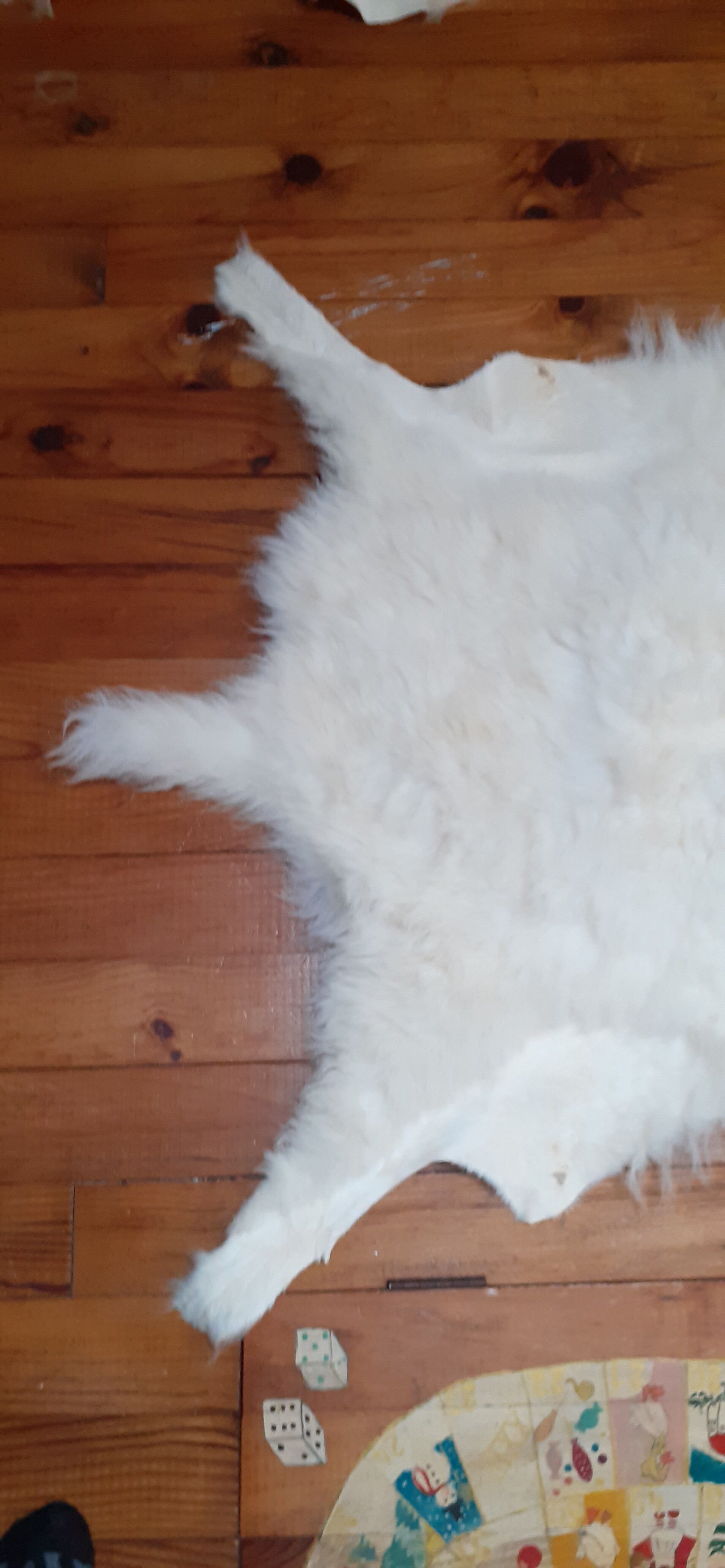 New sheepskin
