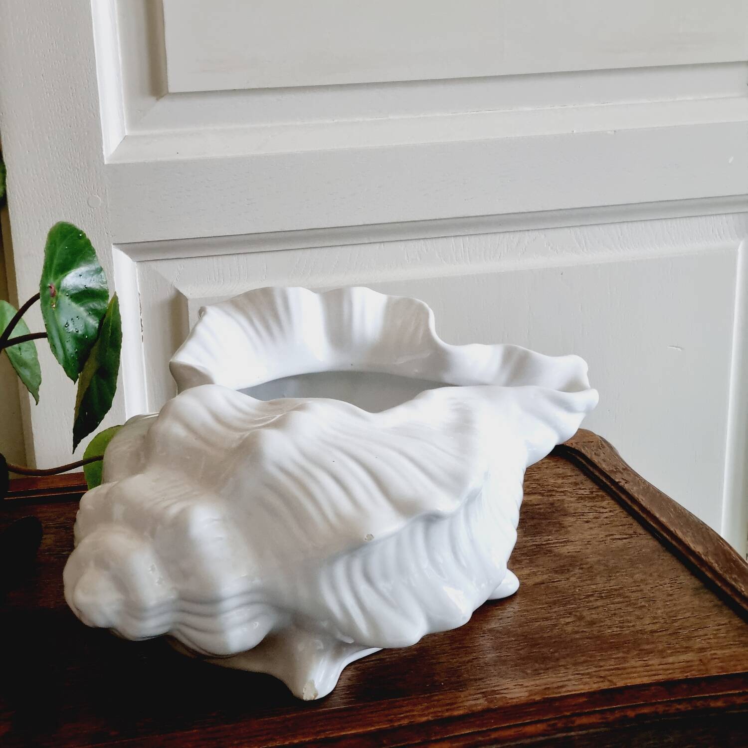 White slip shell pot cover