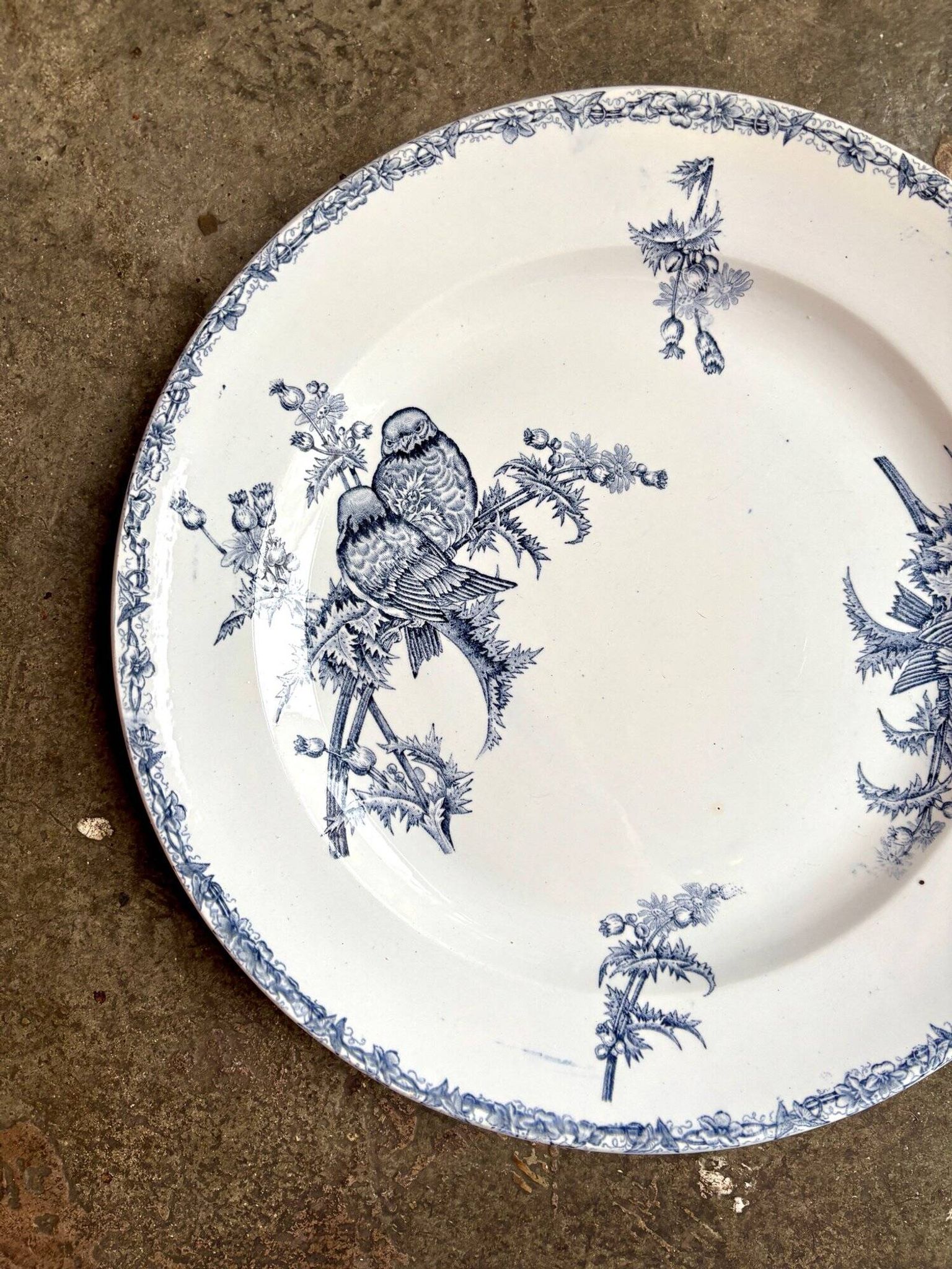 Clairefontaine - Léon Graves round dish in iron earth, "Chardonnerets" service, late 19th century