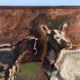 Portrait on the farm goats in the meadow 19th oil on canvas