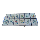 12 Lithographs “Birds of the World”