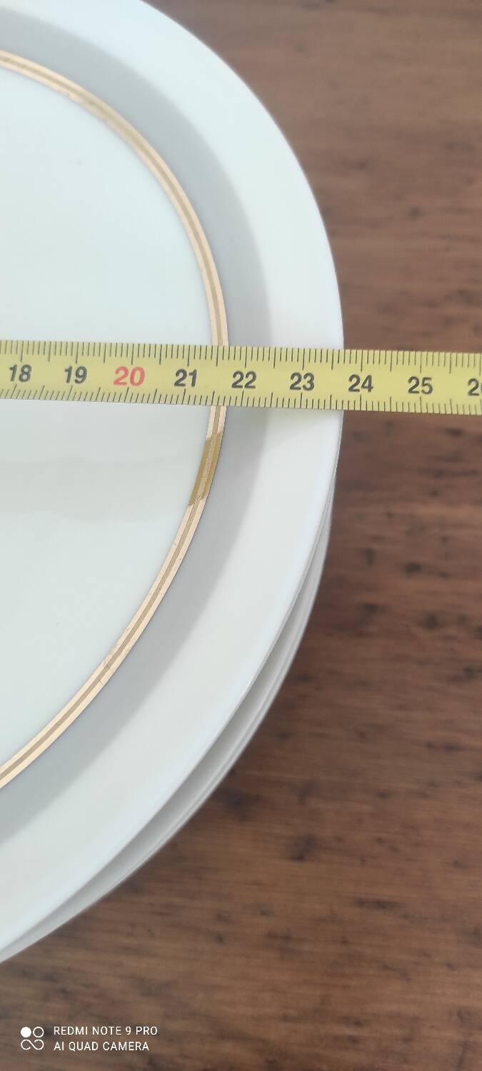 Dishware Service Raynaud et Cie Limoges