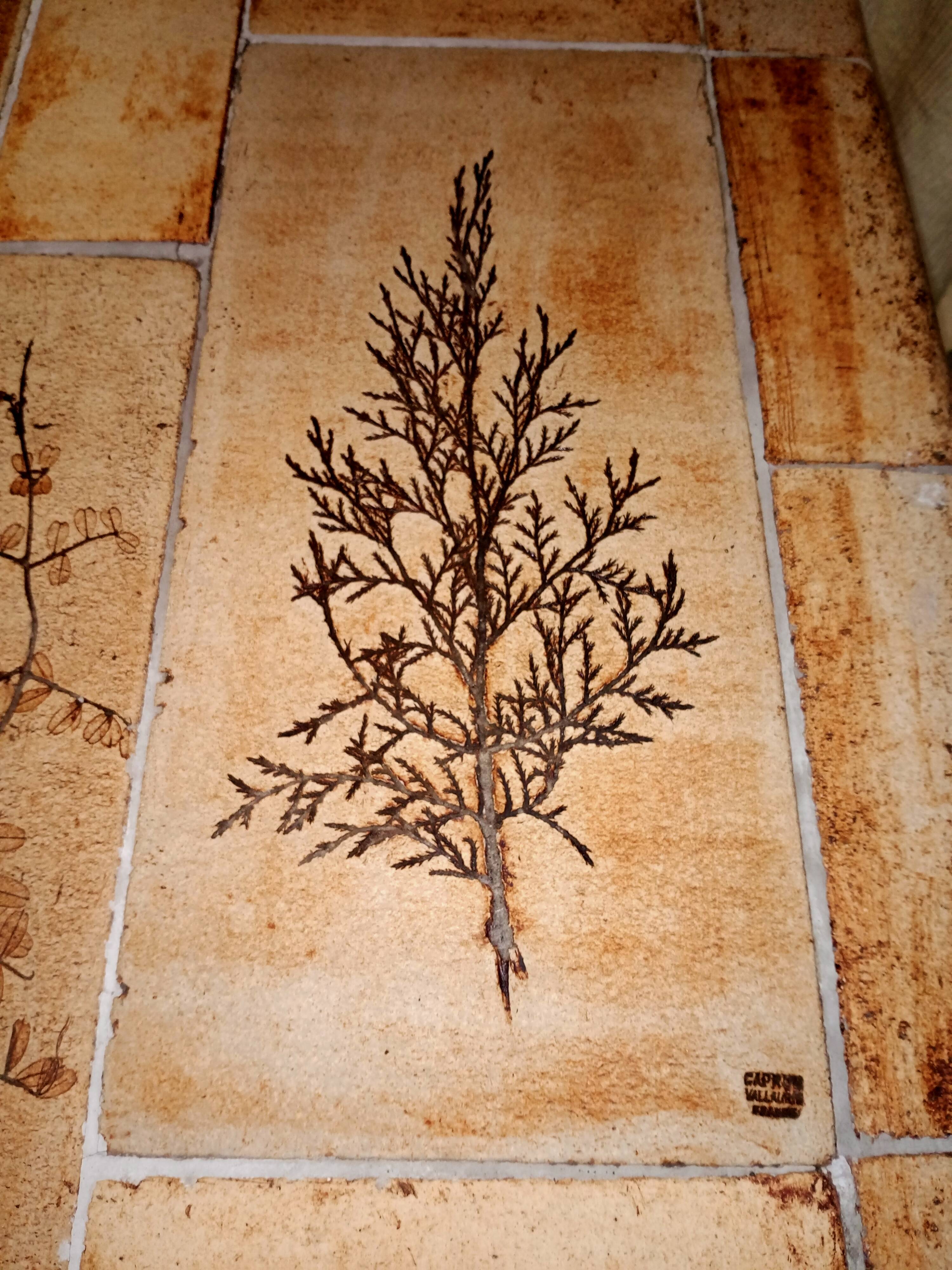 Vallauris Roger Capron coffee table 140 cm