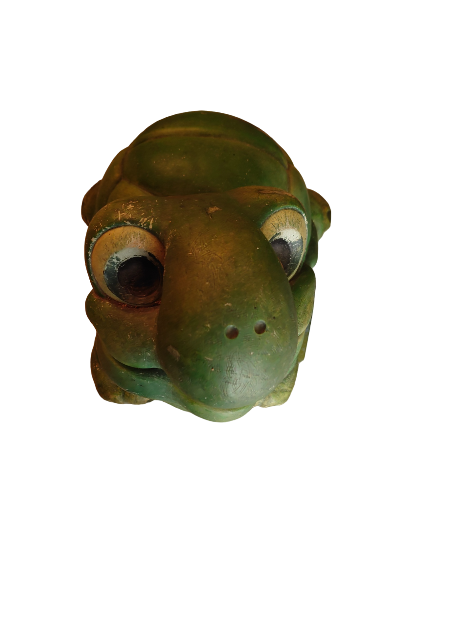 Green turtle in concrete