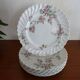 6 flat porcelain plates Limoges Haviland