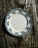 Iron earth dish