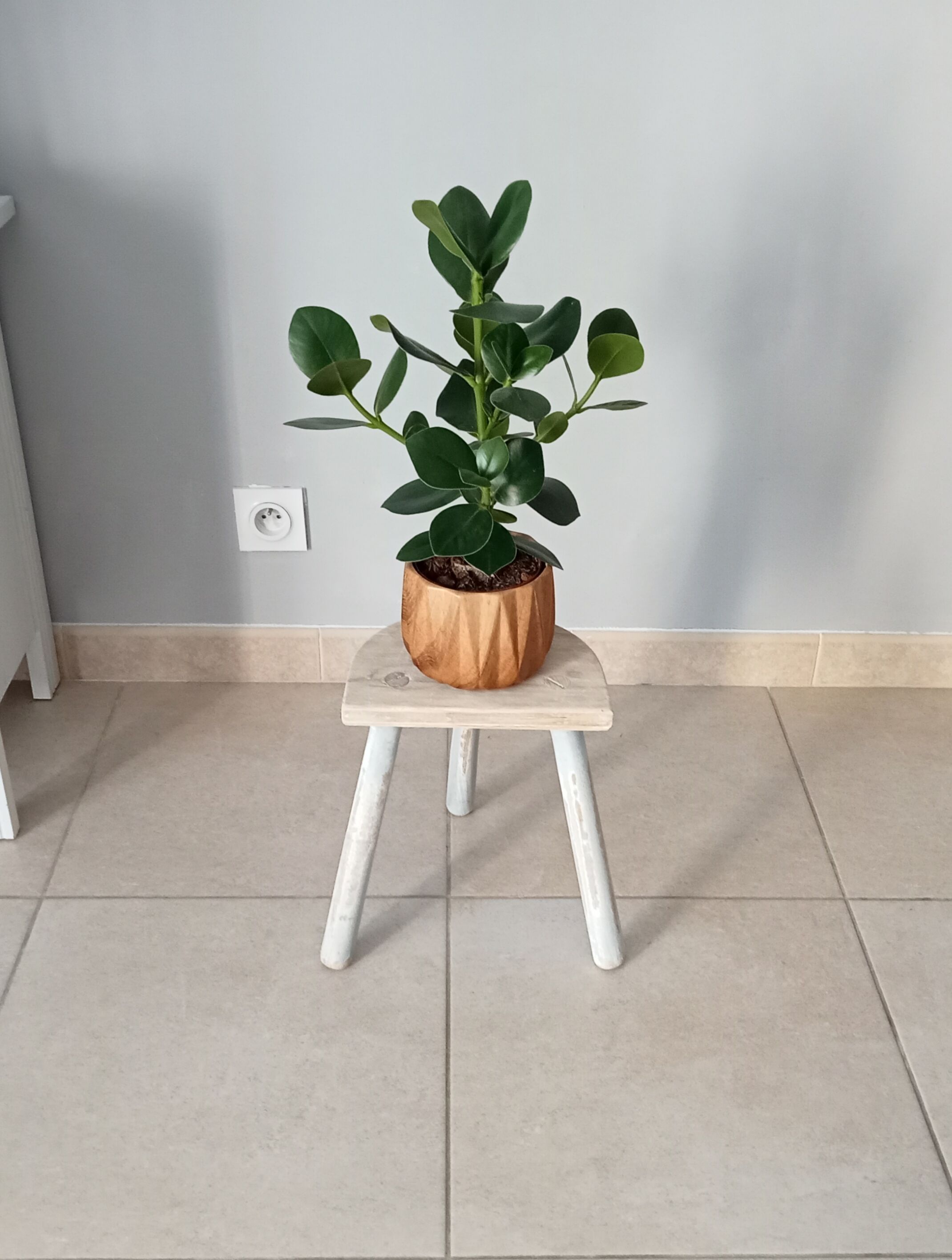 Ancient milking stool