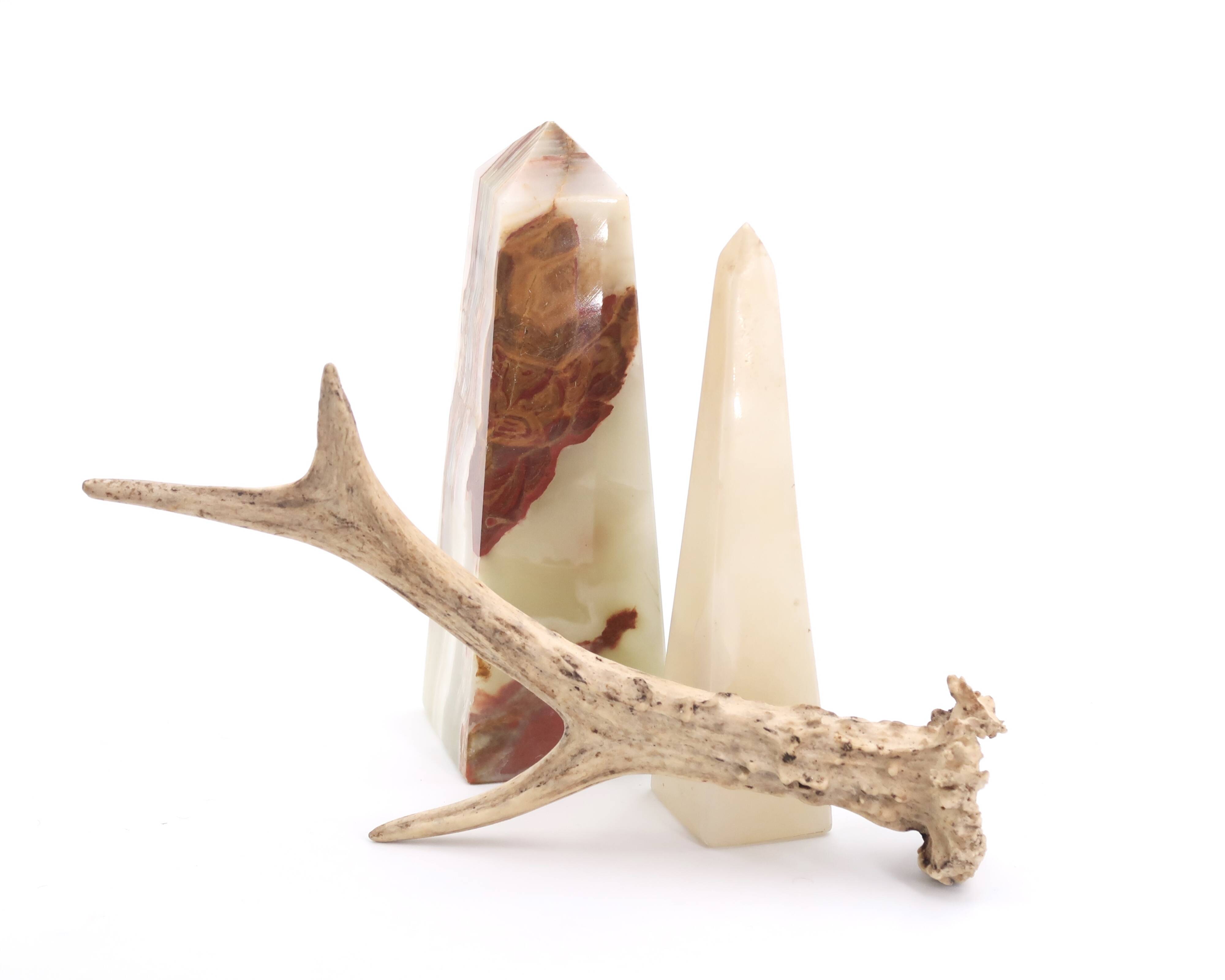 Natural deer antler
