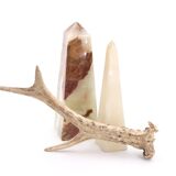 Natural deer antler