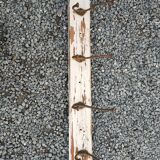 antique coat rack with 4 cast iron hooks