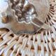 Silver-plated catchall - vine leaf with bunch of grapes