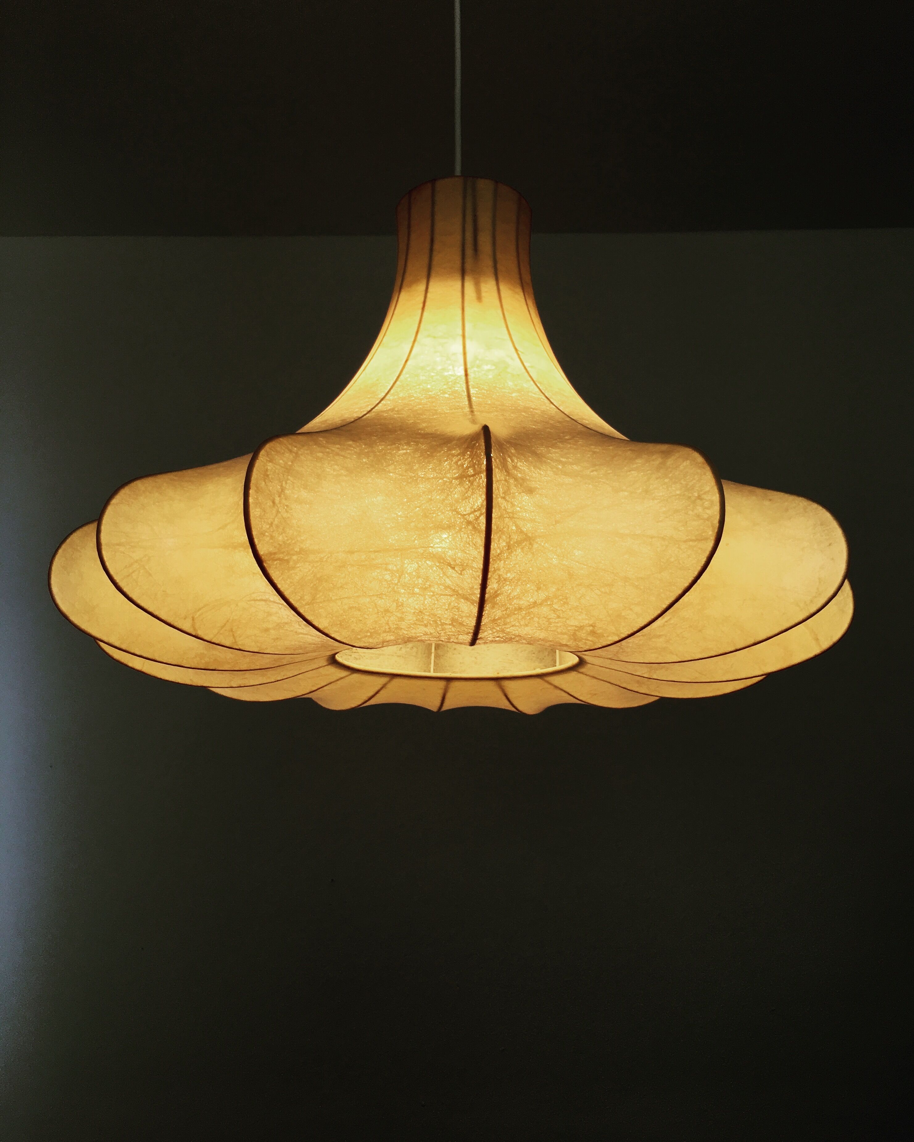 Cocoon hanging lamp from the 1950