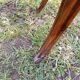 Wood and marble bedside table