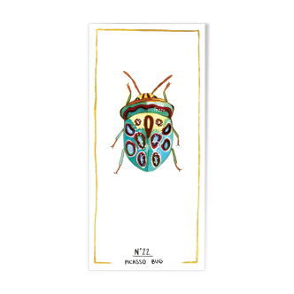 Picasso bug - series insects - cabinet of curiosities