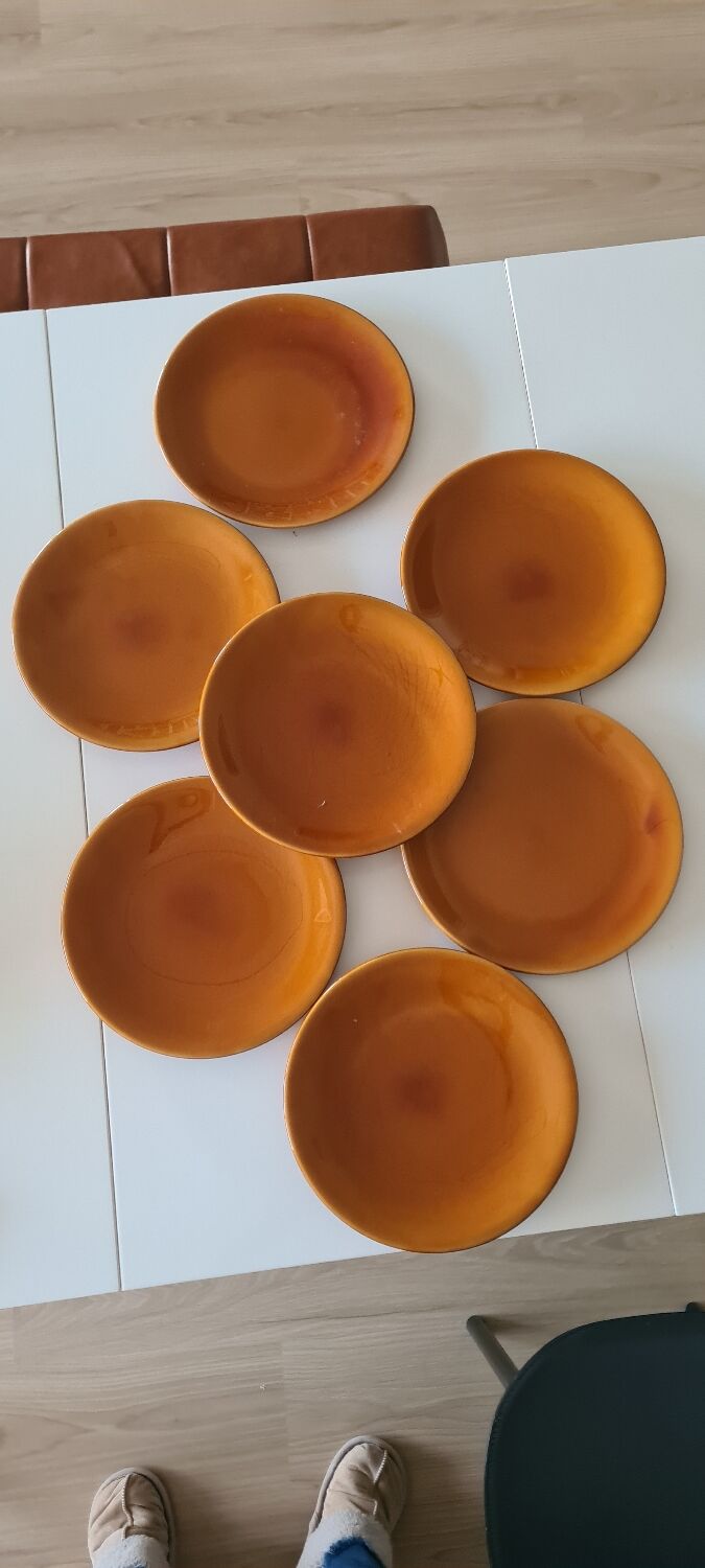 Longchamp flat plates