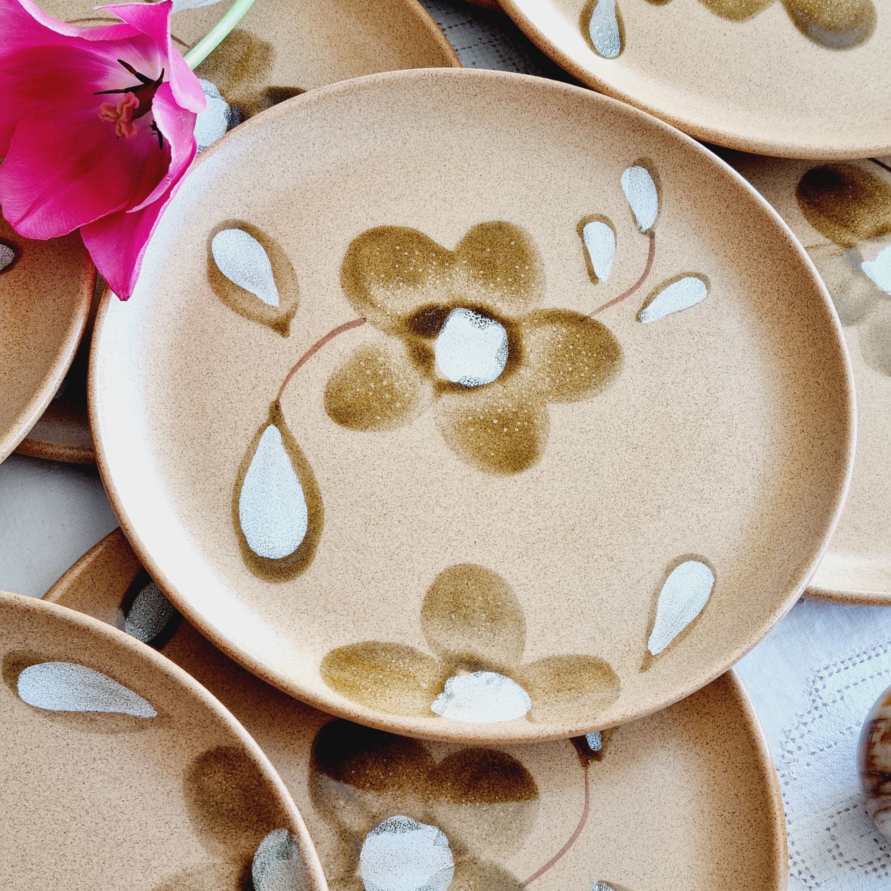 Set of 10 plates with sarreguemines sandstone desserts