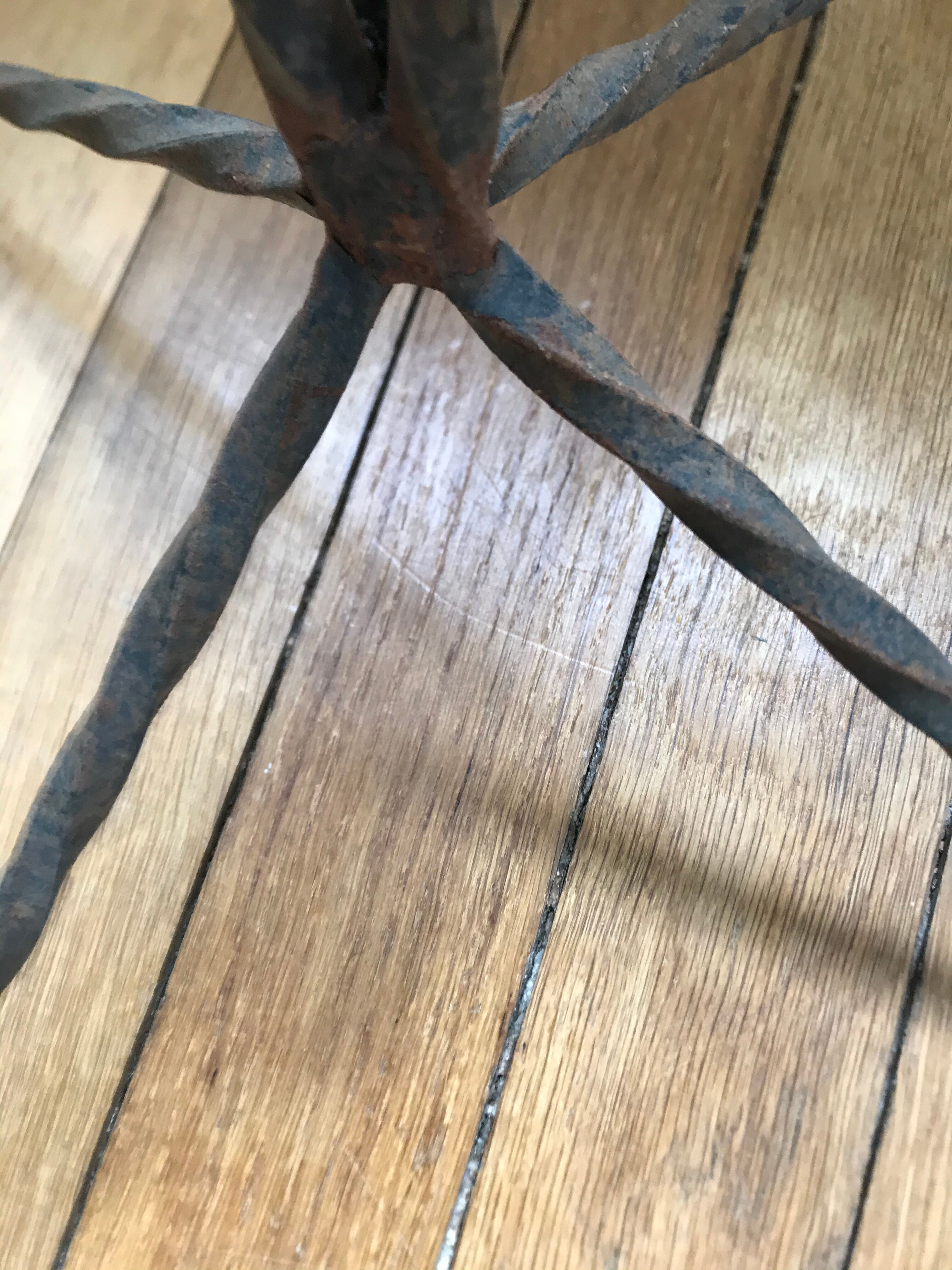 Wrought iron plant holders