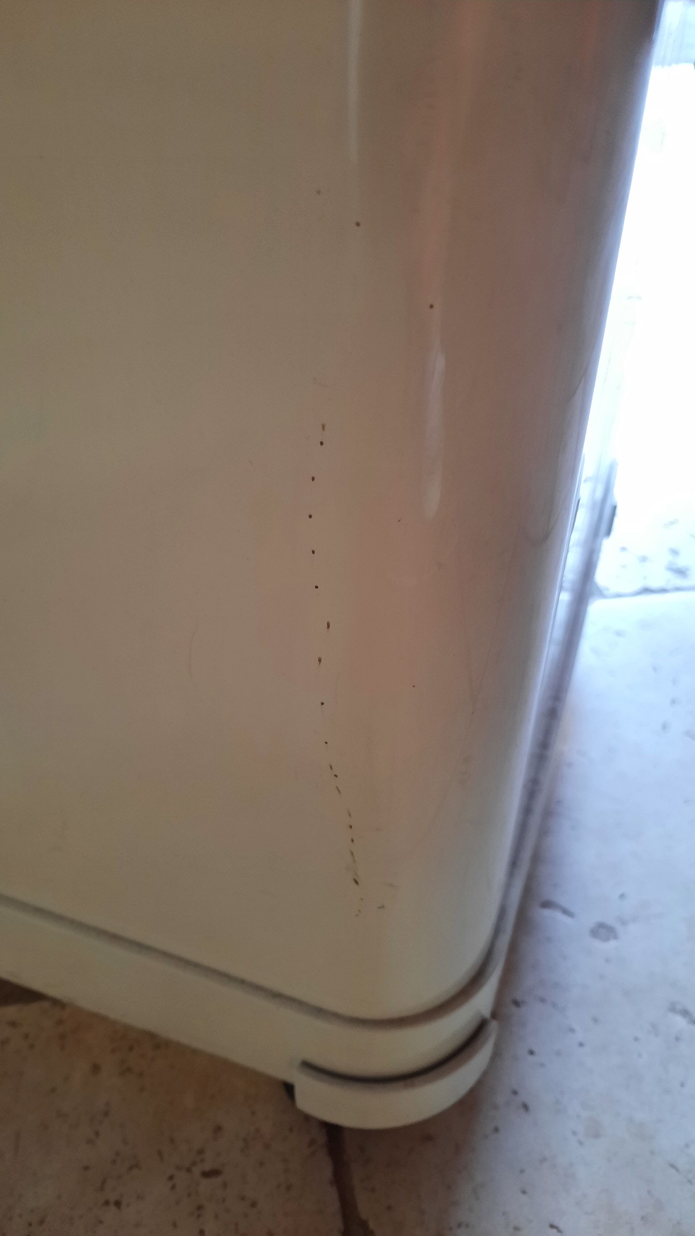 Service flair year 70