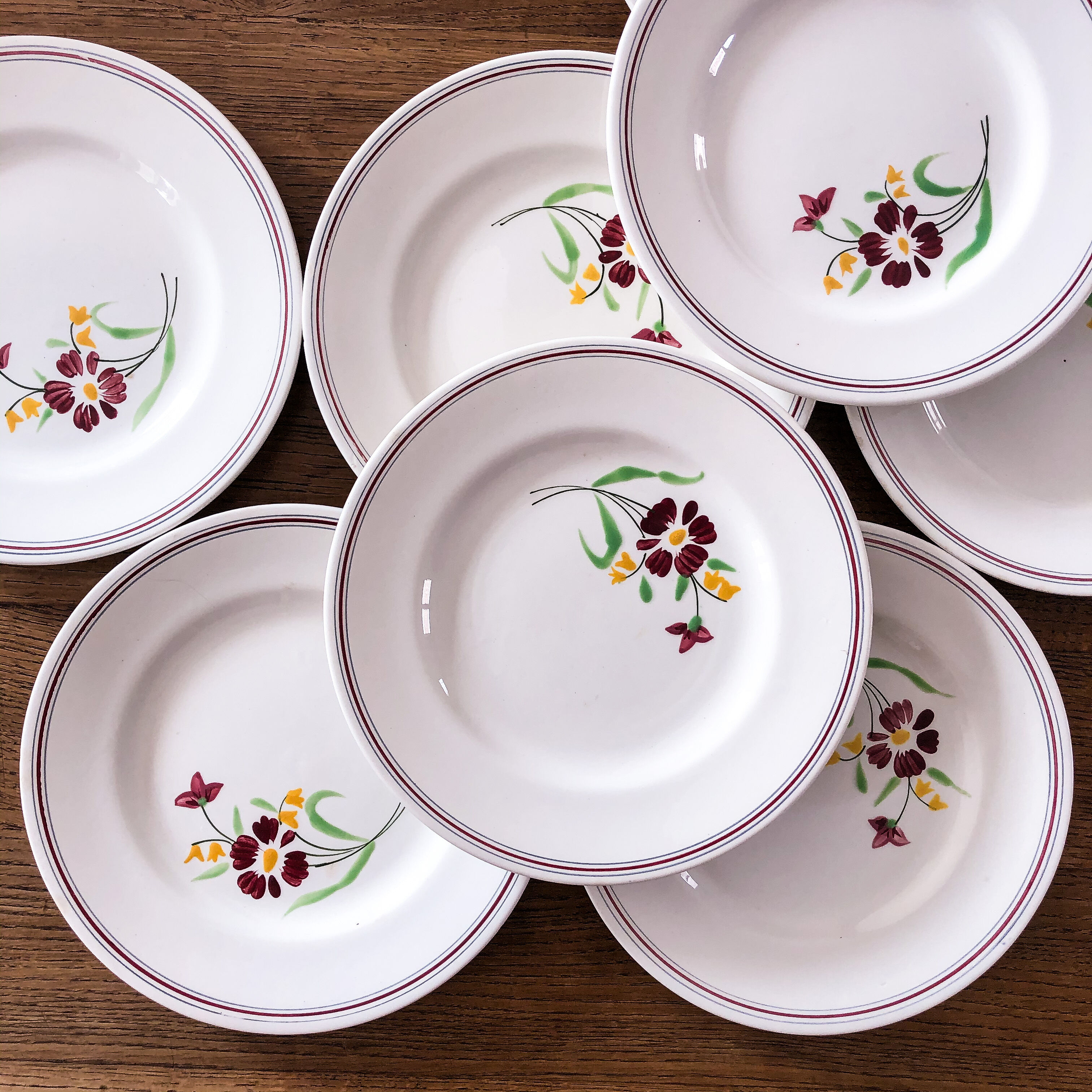 8 plates Salins model Janine