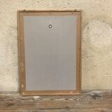 Engraving "rosier des perfumers"