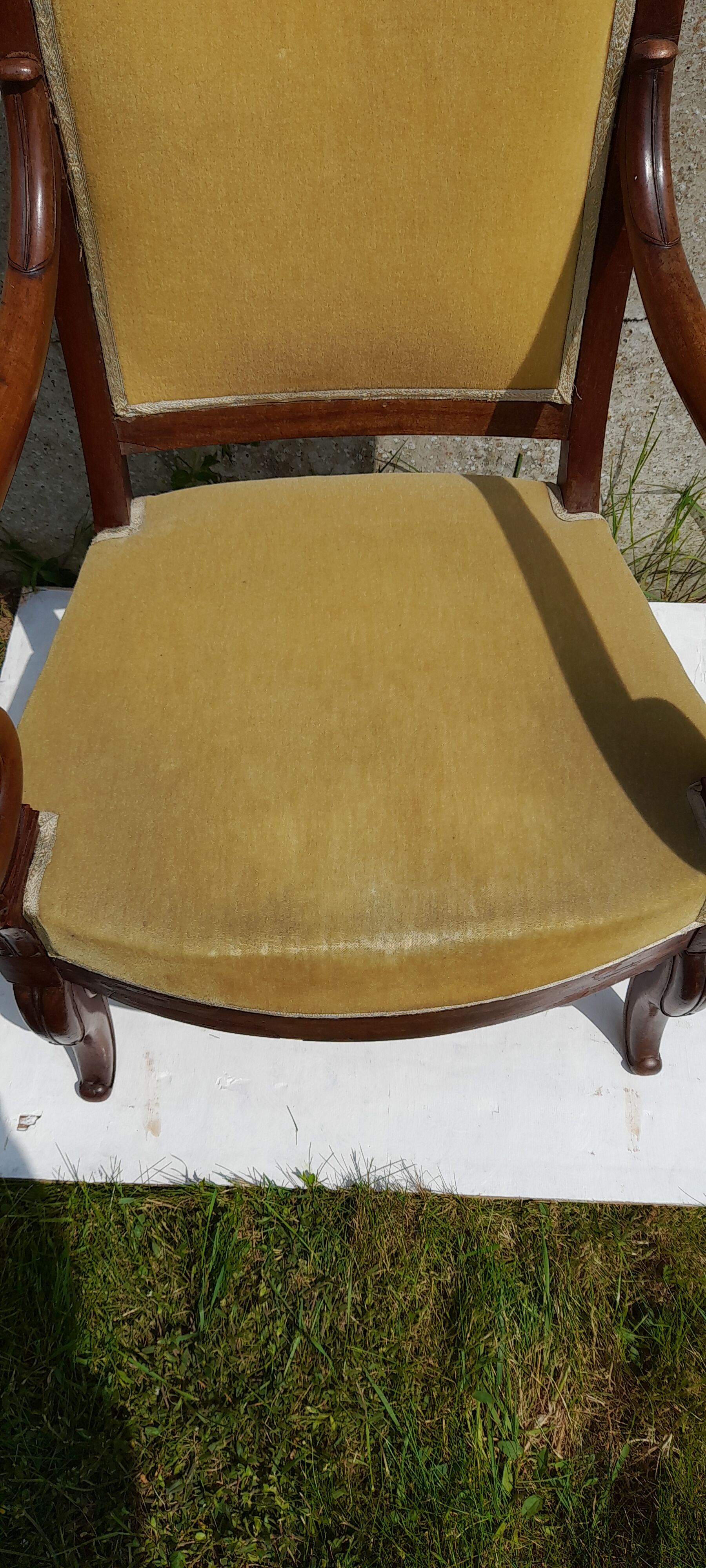 Mahogany butt armchair and mahogany veneer XIX th