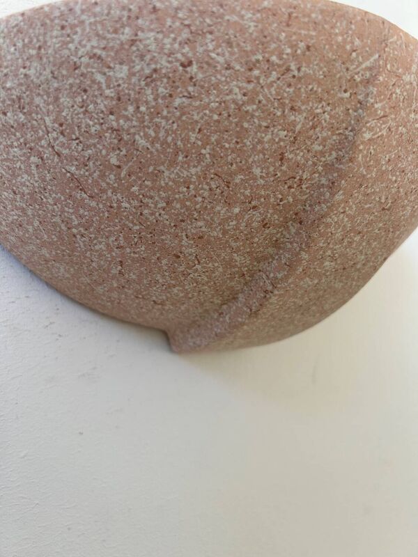 Paire d’appliques en plâtre vintage, rose moucheté, France 1970