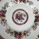 10 porcelain plates and a dish