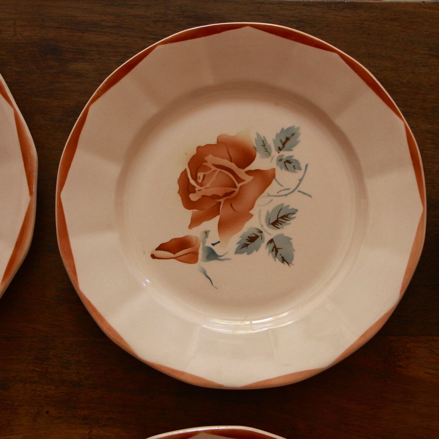 Assiettes plates DIgoin