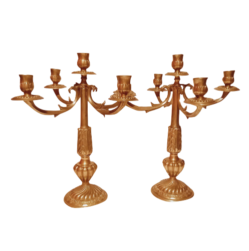 Pair of chandeliers with 5 bronze fires