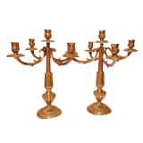 Pair of chandeliers with 5 bronze fires