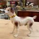 Series of ceramic dogs from Desvres