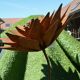 fleur de lotus en fer forgé