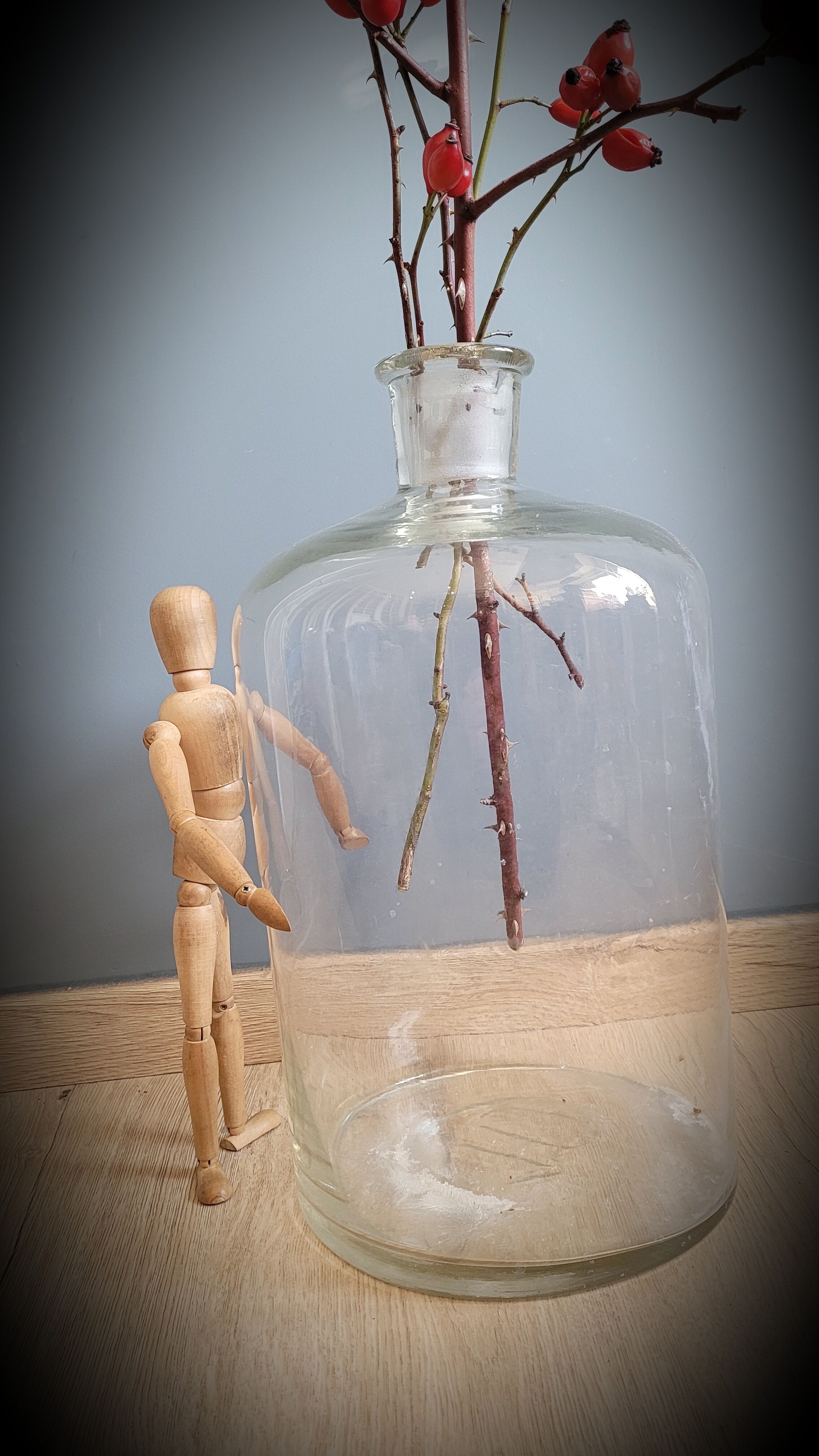 Transparent 10L apothecary bottle