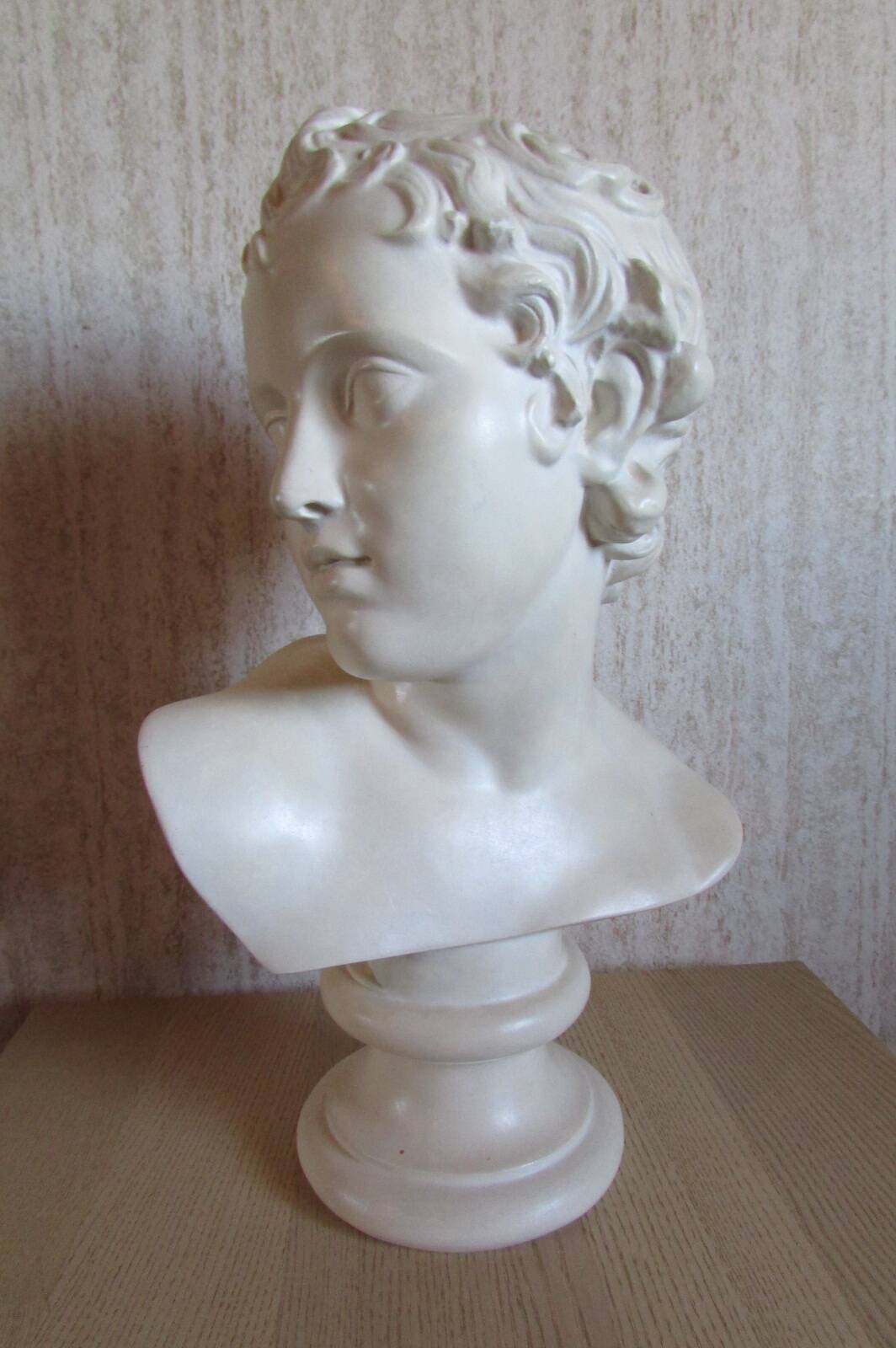 Head of a young man, plaster bust