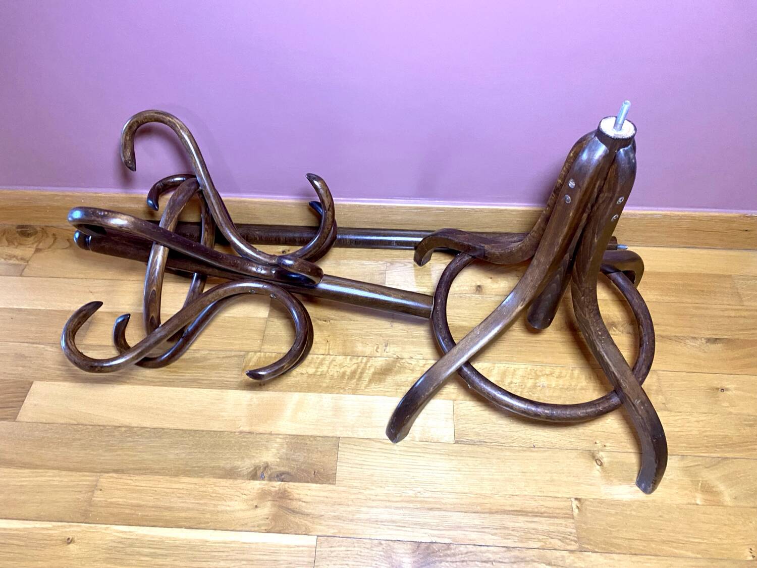 Coat rack on curved wooden stand, Baumann or Thonet style parrot