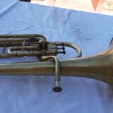 Trumpet cornet ancient margaritas