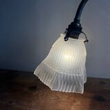Vintage swan neck wall light