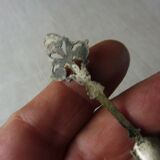 Old saleron in silver metal