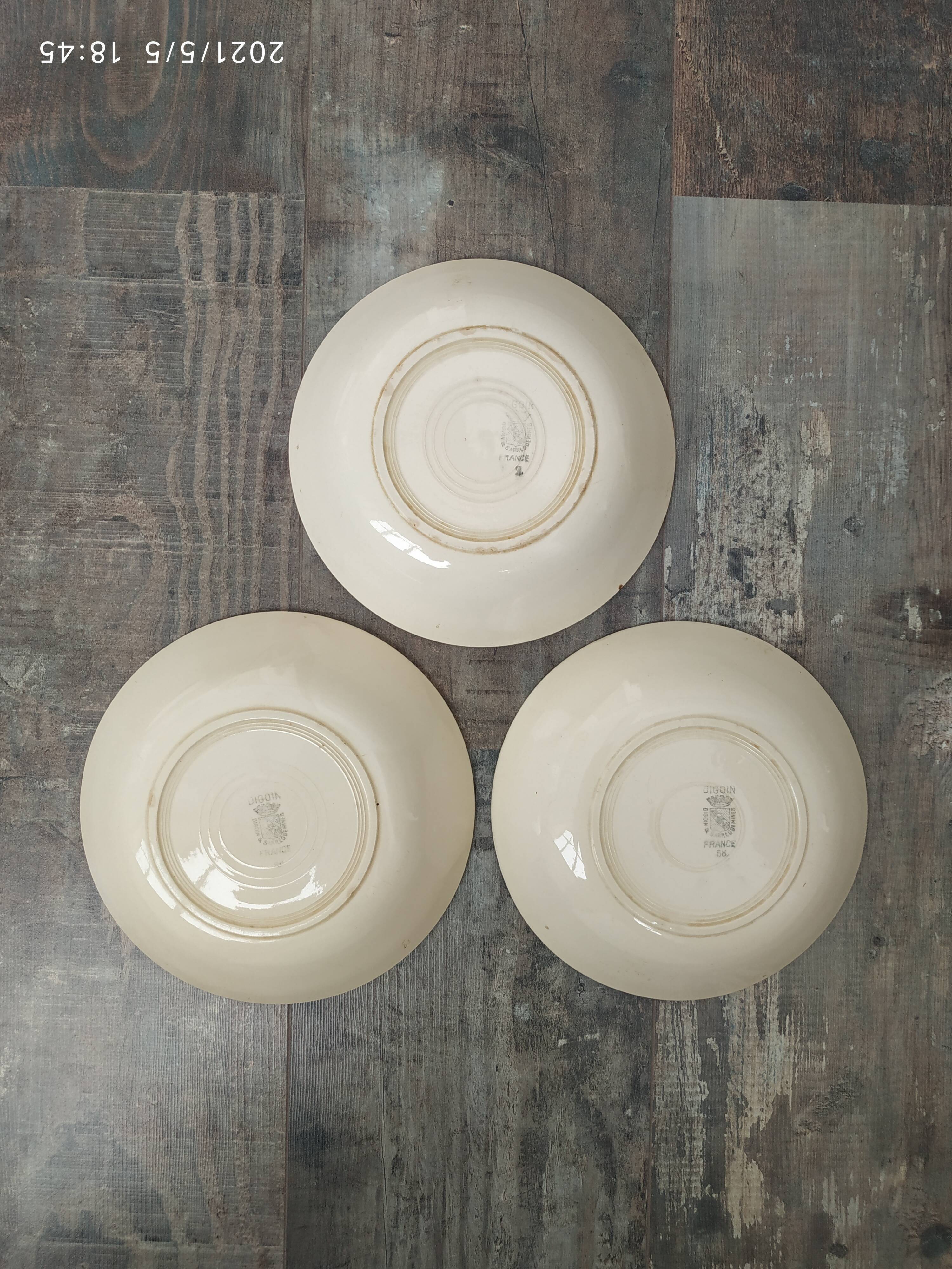 Digoin hollow plates