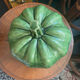 Soupière citrouille