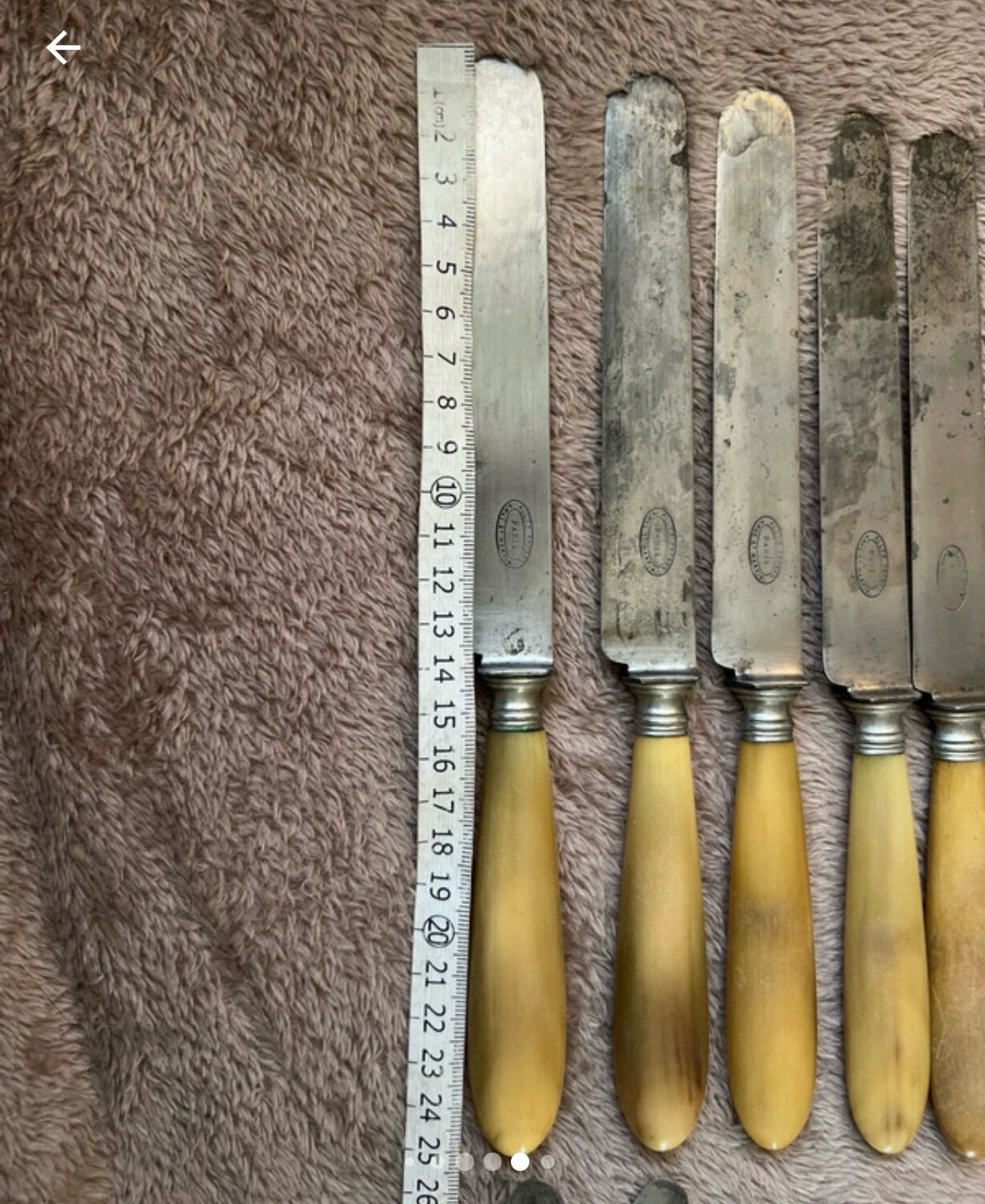 Silver-plated metal steel knives horn ALLEZ FRÈRES