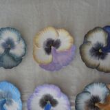 Dessert service 1 main course & 6 plates shape flowers Vallauris signed Guillot