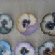 Dessert service 1 main course & 6 plates shape flowers Vallauris signed Guillot