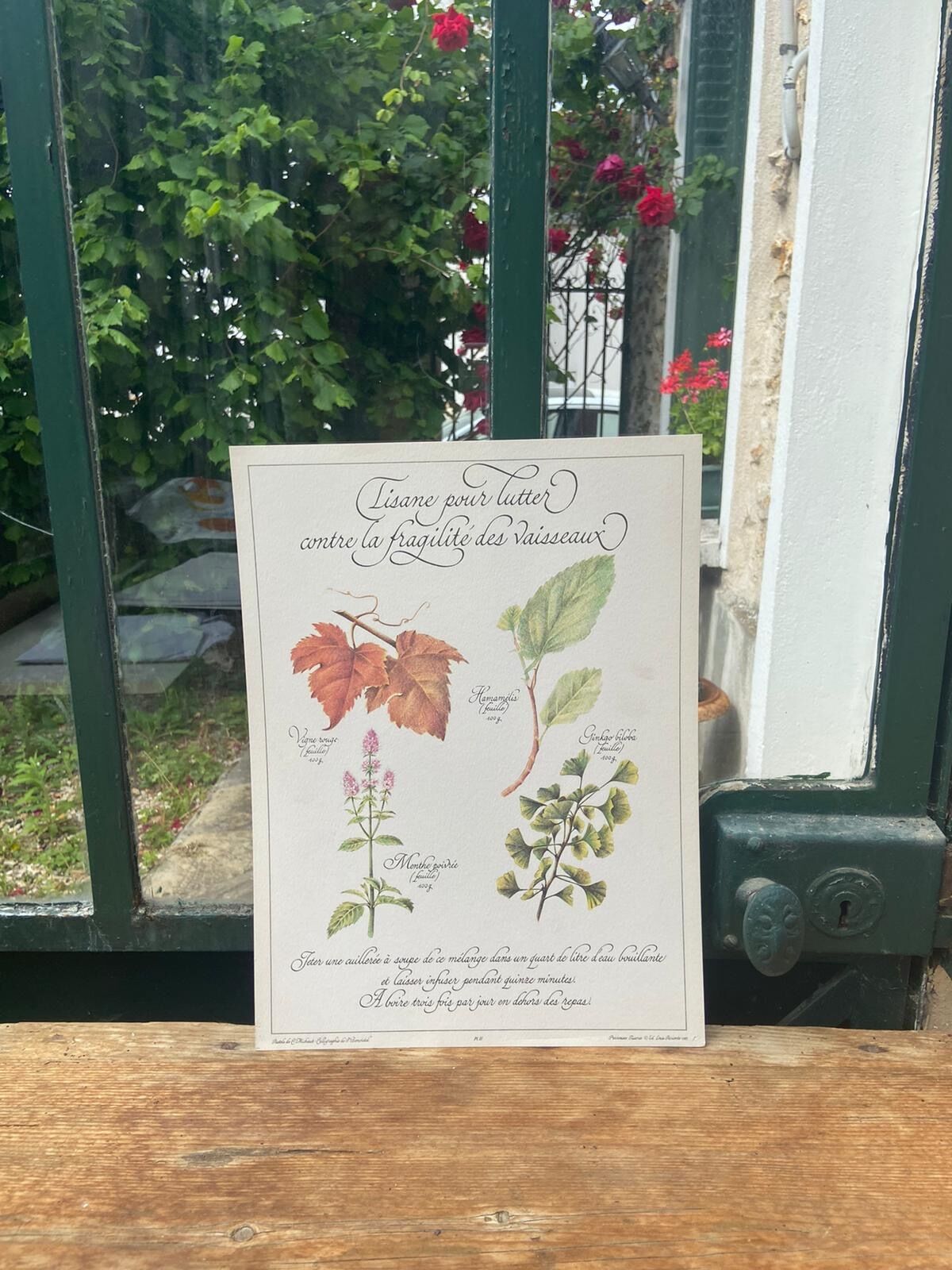 Botanical plank "Tisane to combat the fragility of the vessels"