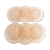 6 rosaline flat plates